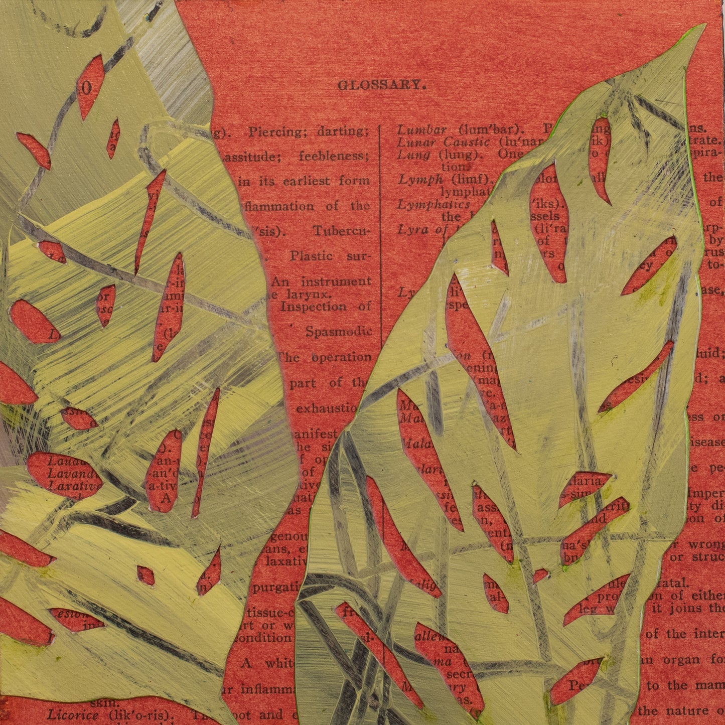 Monstera Medicine 1